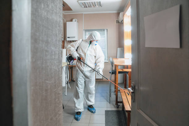 Professional Mold Removal in Pleasureville, KY